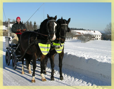 Winteridylle