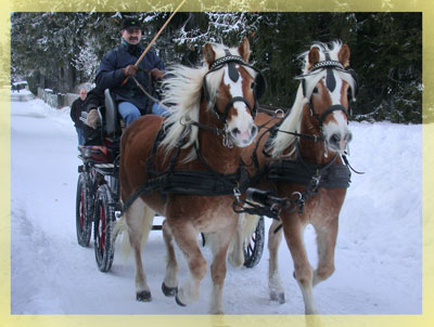 Winteridylle
