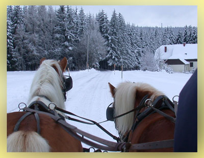 Auf der Kutsche